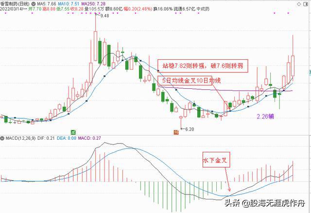 萬(wàn)里股份邁向未來(lái)的步伐與最新戰(zhàn)略洞察