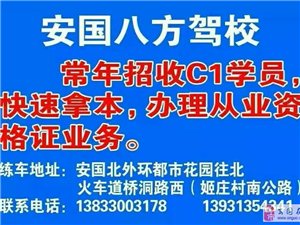 安國(guó)在線最新招聘信息,安國(guó)在線最新招聘信息的觀點(diǎn)論述