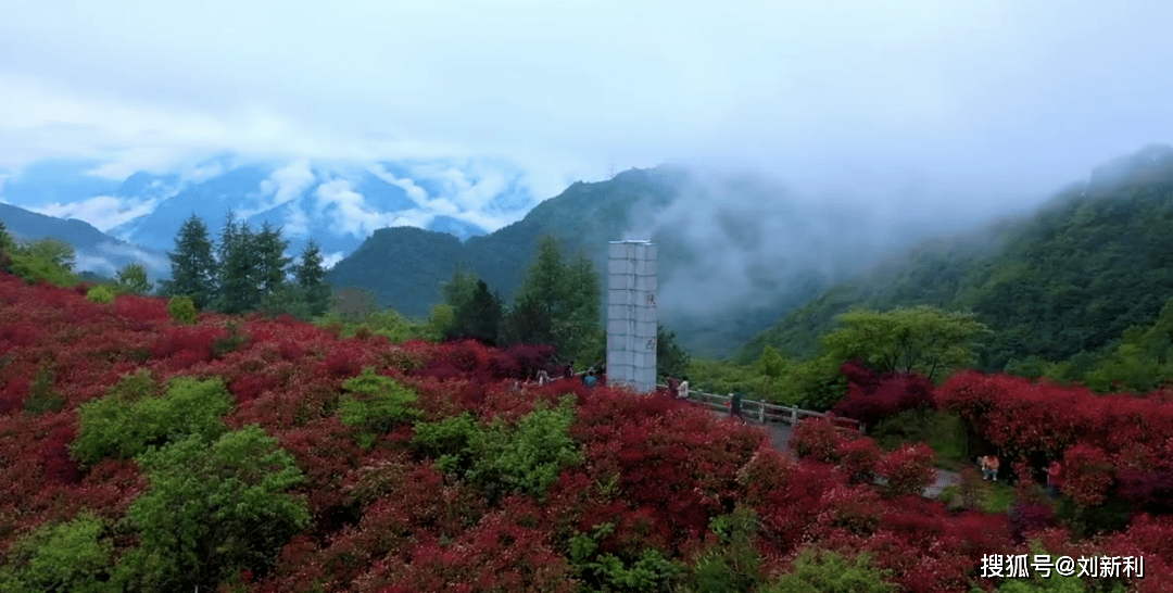 尉氏縣搬遷消息最新,尉氏縣搬遷消息最新，一場自然美景的探索之旅，心靈寧靜的呼喚