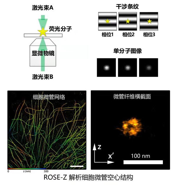 一肖一碼100%中,數(shù)據(jù)科學解析說明_VR版18.640