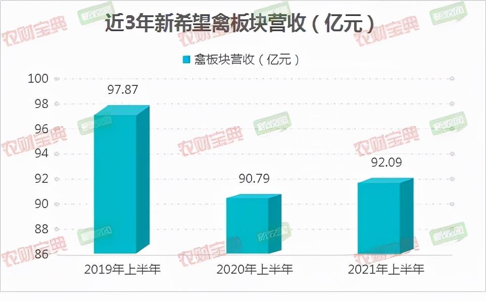 科技重塑鴨肉市場(chǎng)，毛鴨最新行情與前沿生活體驗(yàn)