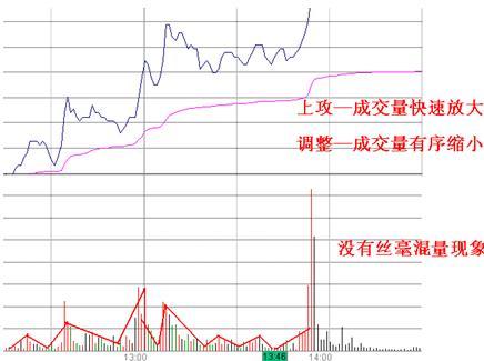 小巷中的神秘寶藏，探索股票做T的財富之旅